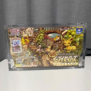 Acrylic Case-Eevee Heroes Gym Box
