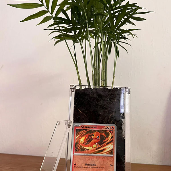 Amakesi e-Pokémon acrylic (5)