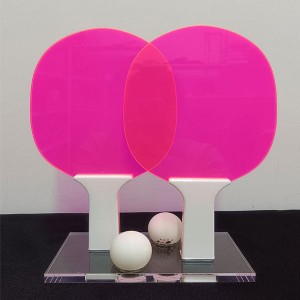 Acrylic Ping Pong Set