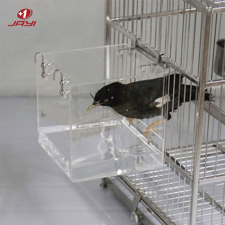קופסת אקריליק שקופה עבור מזין ציפורים